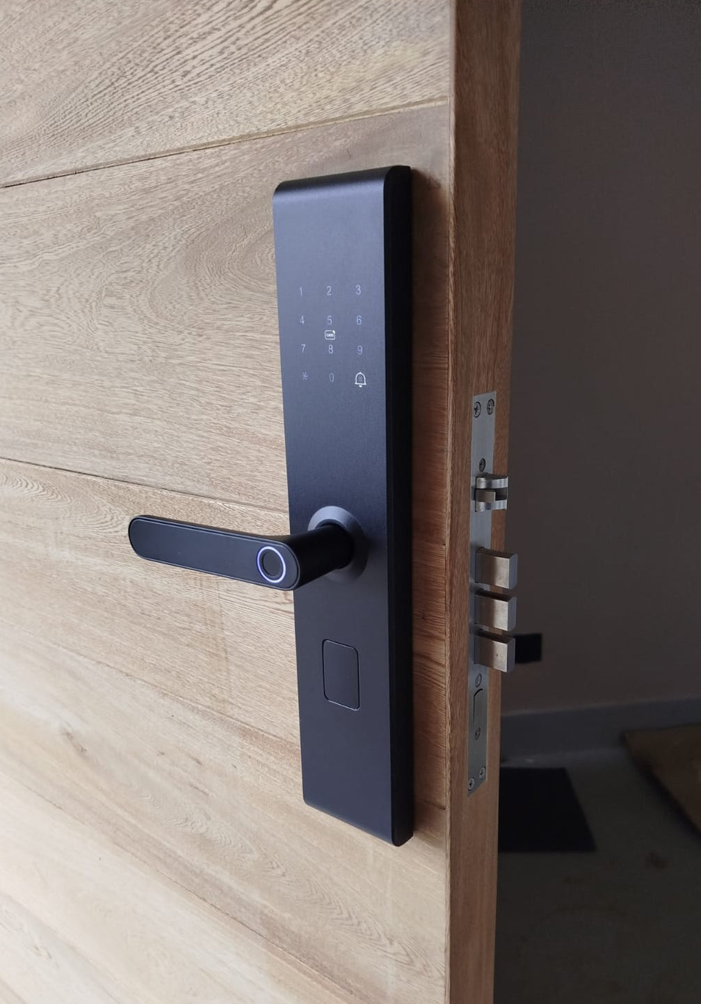 Cerradura especial para puertas principales