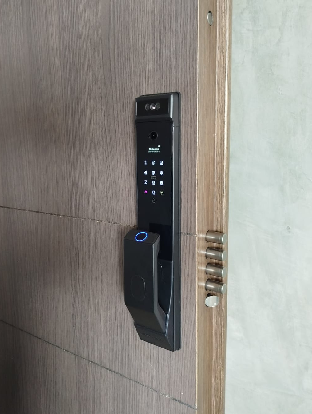 Cerradura digital con cámara, reconocimiento facial, especial para todo tipo de puertas, incluso puertas de seguridad