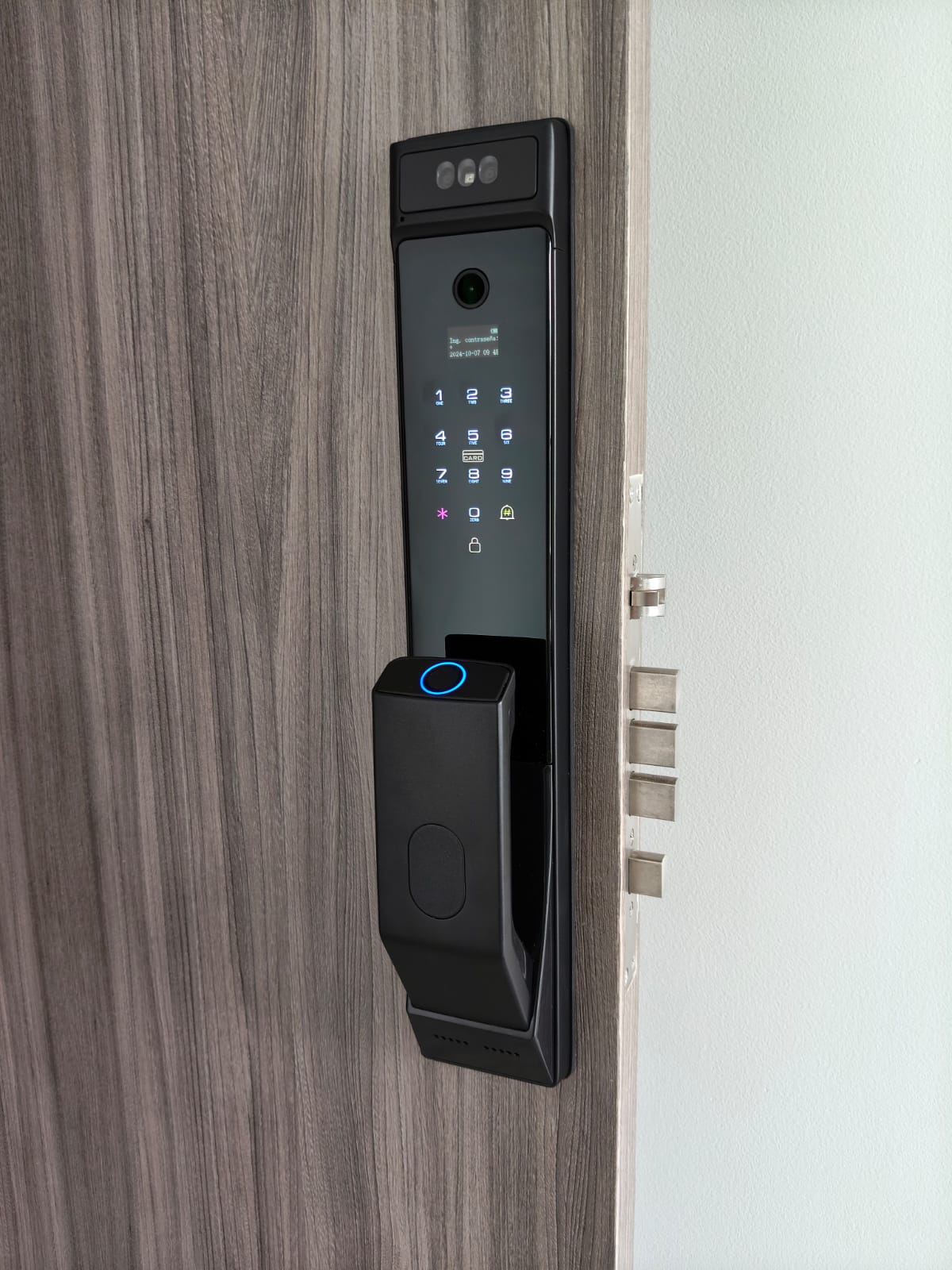Cerradura digital con cámara, reconocimiento facial, especial para todo tipo de puertas, incluso puertas de seguridad